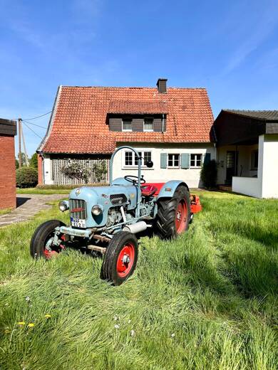 Einfamilienhaus zum Kauf 395.000 € 7 Zimmer 180 m² 2.890 m² Grundstück Warendorf Warendorf 48231
