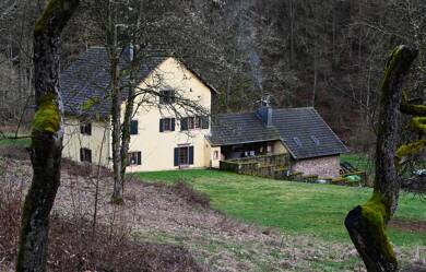 Herrenhaus zum Kauf provisionsfrei 850.000 € 7 Zimmer 240 m² 5.000 m² Grundstück Brandenmühle Spangdahlem 54529