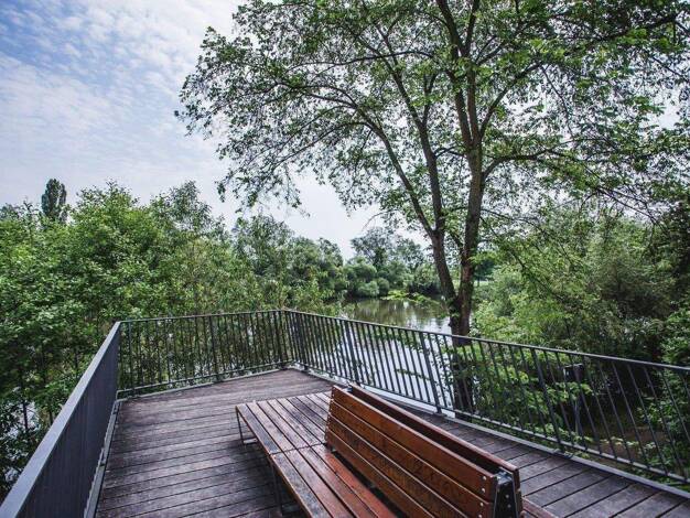 WG-Zimmer zur Miete Wohnen auf Zeit 420 € 12 m² 1. Geschoss frei ab 01.11.2025 Alt Fechenheim 00 Fechenheim Frankfurt am Main 60386