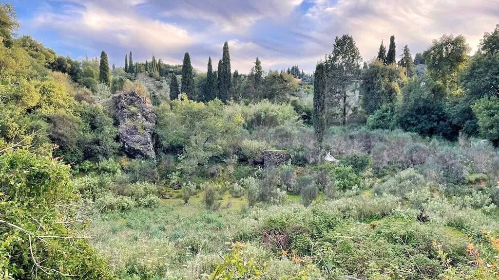 Land-/Forstwirtschaft zum Kauf 190.000 € 6.145 m² Grundstück Korfu