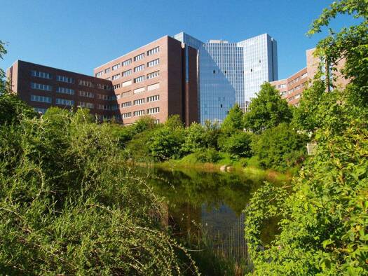 Bürofläche zur Miete 13,90 € 380 m² Bürofläche Barmbek-Süd Hamburg 22083