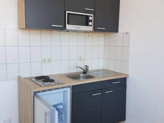 Studio zur Miete 250 € 1 Zimmer 32,8 m² Neumark 08496