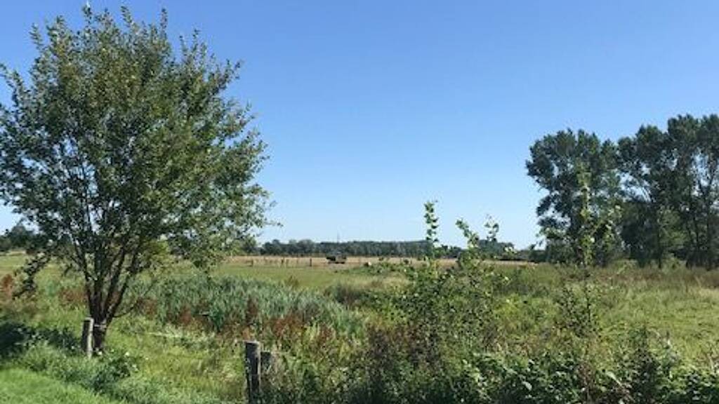 Einfamilienhaus zum Kauf 299.000 € 3 Zimmer 90 m² 1.843 m² Grundstück Klockenhagen Ribnitz-Damgarten 18311