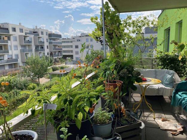 Terrassenwohnung zum Kauf provisionsfrei 398.000 € 3 Zimmer 78 m² 2. Geschoss Axel-Corti-Gasse 8 Wien 1210