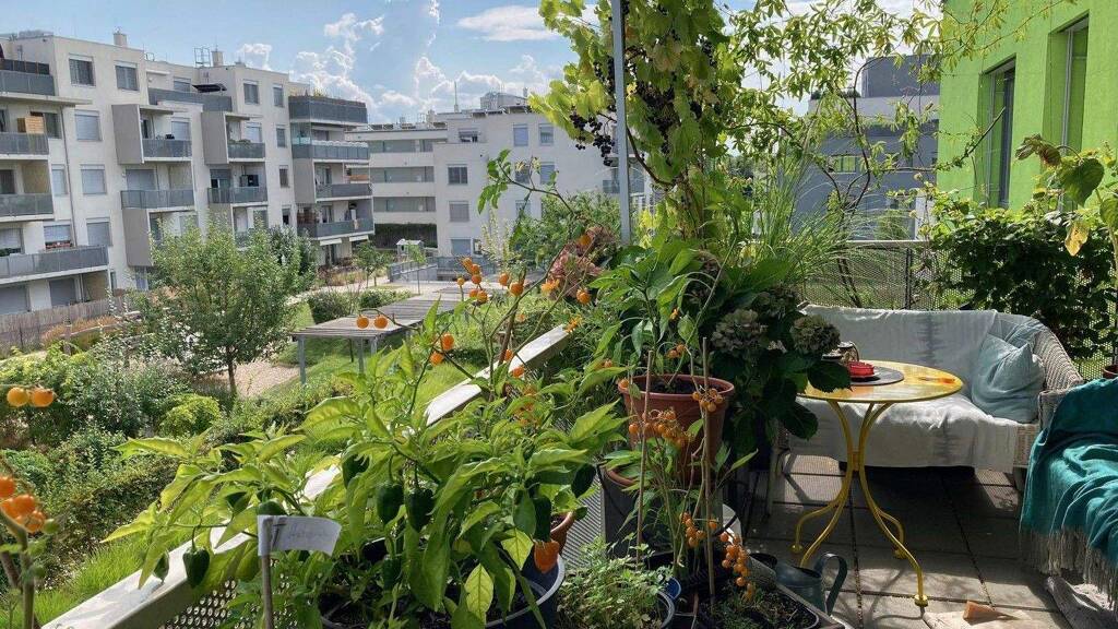 Terrassenwohnung zum Kauf provisionsfrei 398.000 € 3 Zimmer 78 m² 2. Geschoss Axel-Corti-Gasse 8 Wien 1210