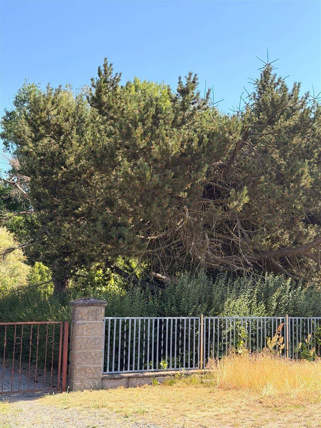 Grundstück zum Kauf - Ansicht 4