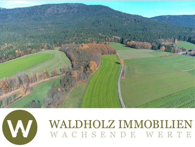 Land-/Forstwirtschaft zum Kauf als Kapitalanlage geeignet 1.550.000 € 132.624 m² Grundstück Arnbruck Arnbruck 93471