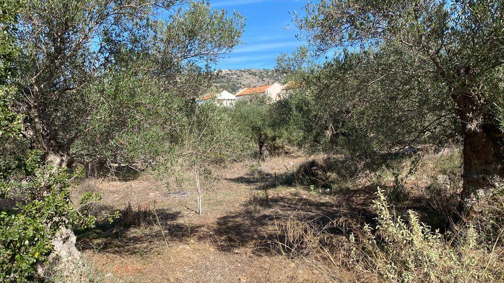 Land-/Forstwirtschaft zum Kauf 75.000 € 831 m² Grundstück Kreta