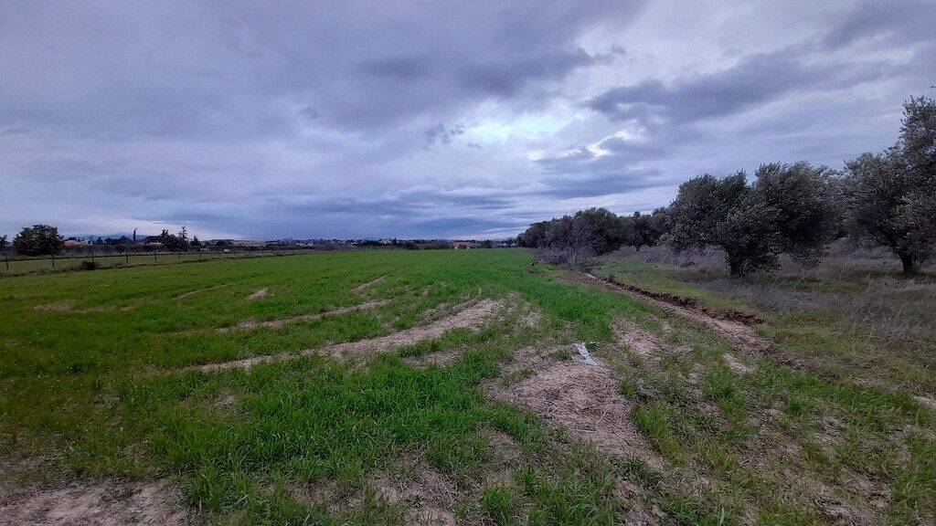 Land-/Forstwirtschaft zum Kauf 135.000 € 4.312 m² Grundstück Thessaloniki