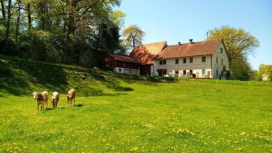 Haus zum Kauf provisionsfrei 735.000 € 10 Zimmer 300 m² 3.100 m² Grundstück Erlachskirchen Erlachskirchen Langenzenn 91469