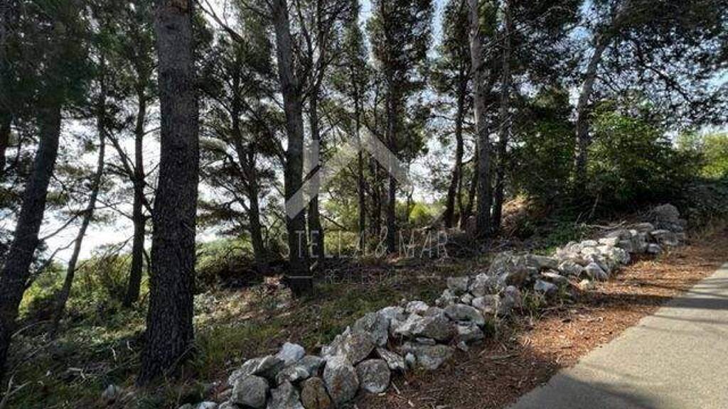 Land-/Forstwirtschaft zum Kauf 72.000 € Vir