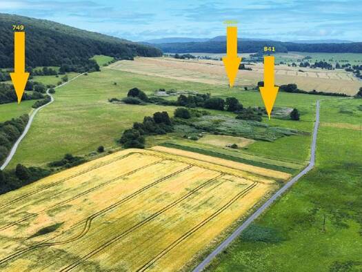 Grundstück zur Versteigerung 19.000 € 73.279 m² Grundstück Unterbreizbach 36414