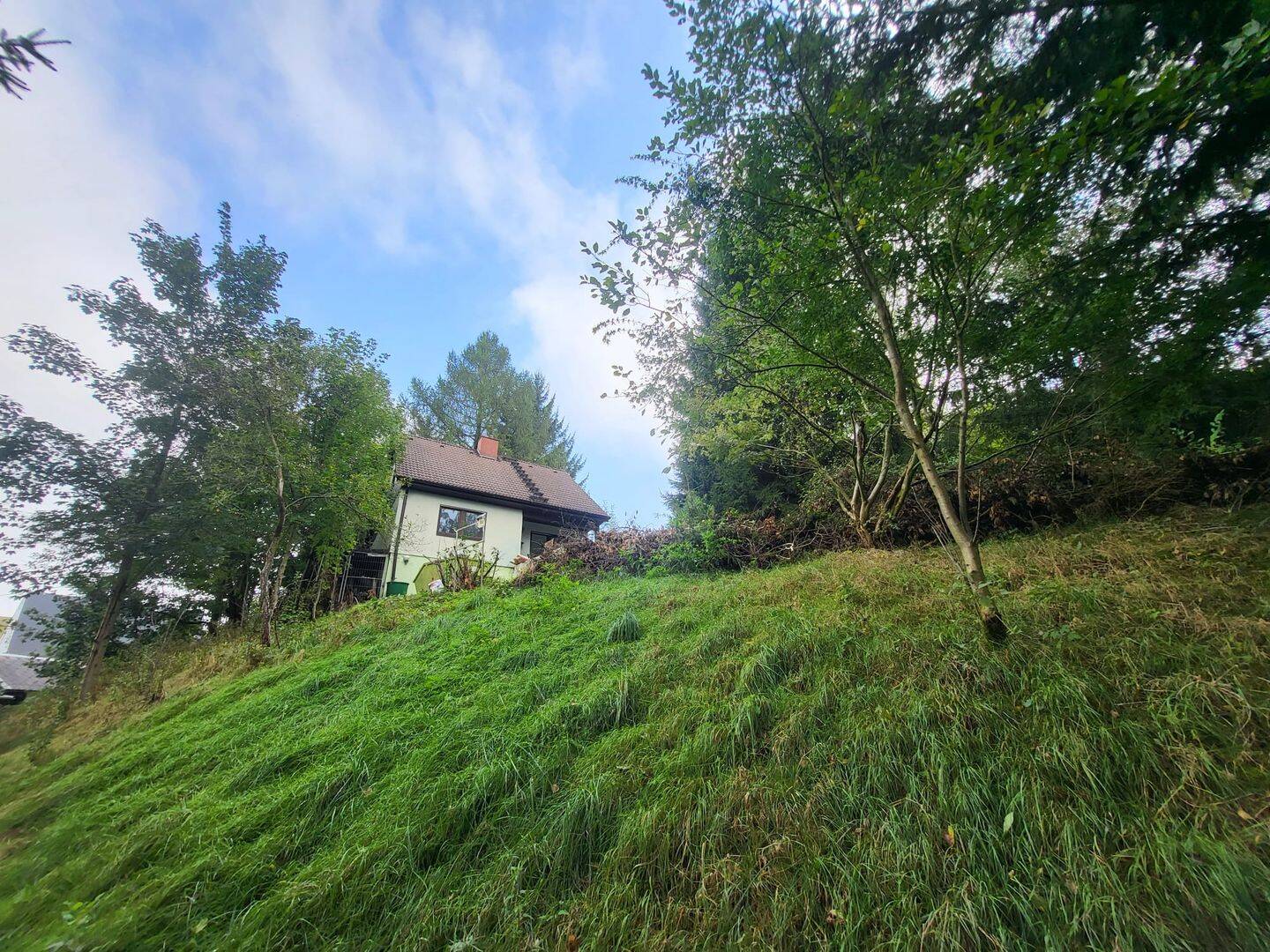 Einfamilienhaus zum Kauf - Ansicht 5