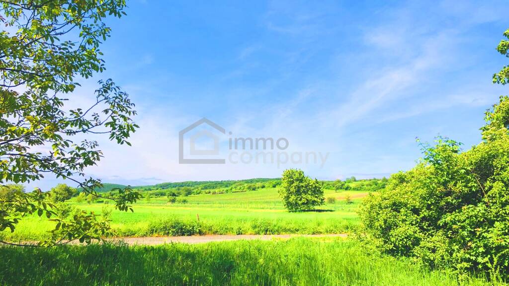 Grundstück zum Kauf 695.000 € 2.278 m² Grundstück Breitenbrunn am Neusiedler See 7091