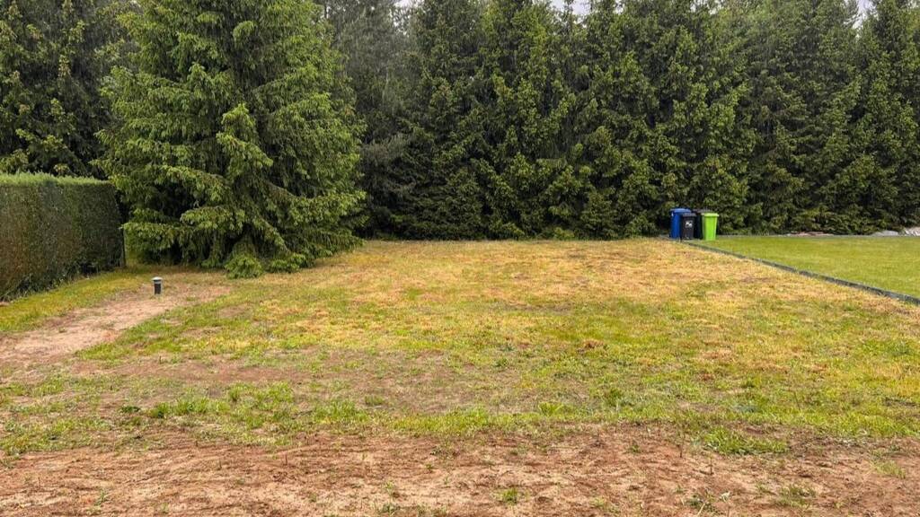 Grundstück zum Kauf 242.000 € 805 m² Grundstück Schulzendorf 15732