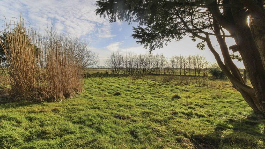 Sonstiges zum Kauf als Kapitalanlage geeignet 160.000 € 5 Zimmer 117,1 m² 3.013,2 m² Grundstück Almdorf 25821