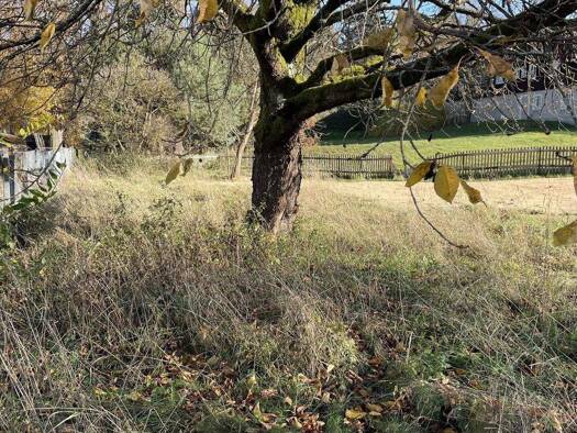 Grundstück zum Kauf 55.000 € 615 m² Grundstück Langburkersdorf Neustadt 01844