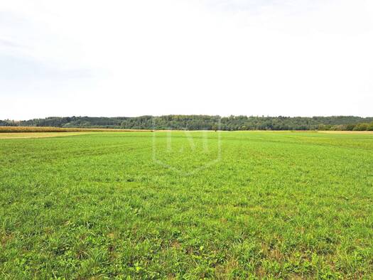 Land-/Forstwirtschaft zum Kauf 1.115.000 € 93.147 m² Grundstück Großaitingen Großaitingen 86845