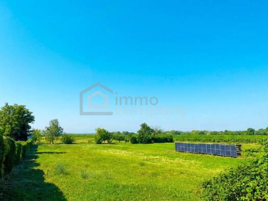 Grundstück zum Kauf 660.000 € 1.295 m² Grundstück Neusiedl am See 7100