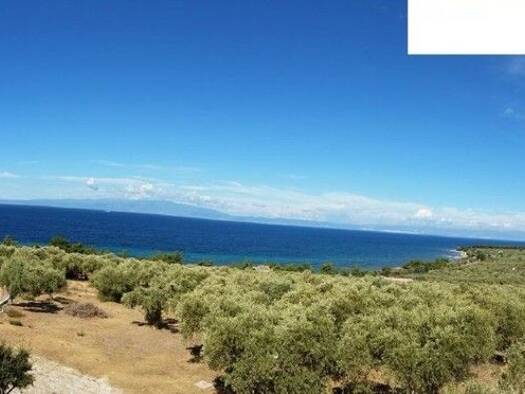 Grundstück zum Kauf 130.000 € 6.591 m² Grundstück Thassos Municipality 64004