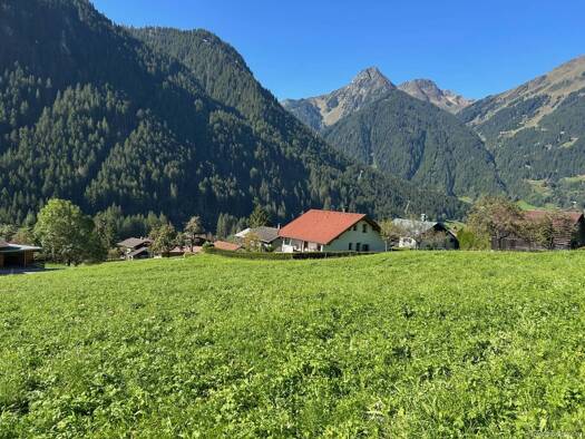 Grundstück zum Kauf 850.000 € 2.702 m² Grundstück Montielweg St. Gallenkirch 6791
