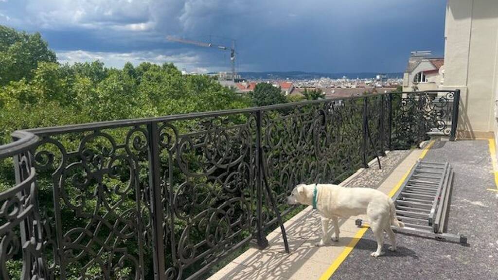 Büro zur Miete 4.590 € 6 Zimmer 254,7 m² Bürofläche Wien 1040