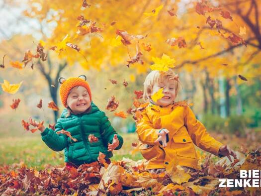 Haus zum Kauf 542.000 € 5,5 Zimmer 138 m² 350 m² Grundstück Kleinlinden 35398