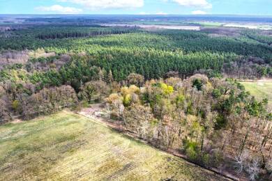 Grundstück zum Kauf 1.350 € 6.709 m² Grundstück Bettelgrund Falkenberg Briesen (Mark) 15518