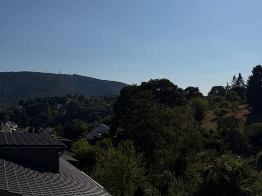 Wohnung zur Miete 800 € 3 Zimmer 68 m² Geschoss 1/3 frei ab 24.08.2026 Ziegelhausen Heidelberg 69118