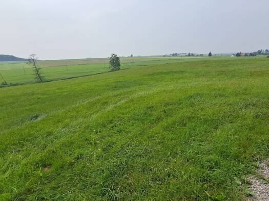 Landwirtschaftliche Fläche zum Kauf 6 € 23.251 m² 23.251 m² Grundstück Haselbach Eppishausen 87745