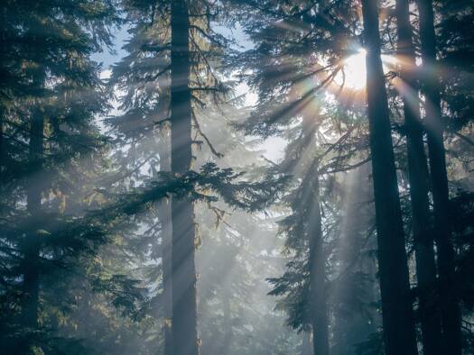 Forstwirtschaft zum Kauf 481.617 m² Grundstück Außervillgraten 9931