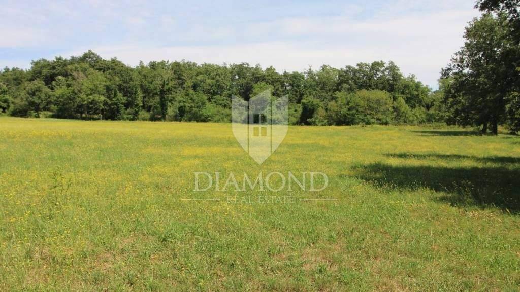 Land-/Forstwirtschaft zum Kauf 1.350.000 € Zminj Zminj