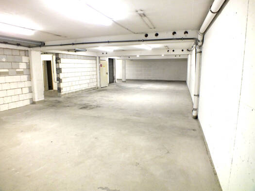 Lagerhalle zur Miete 695 € 247 m² Lagerfläche Singen Singen (Hohentwiel) 78224
