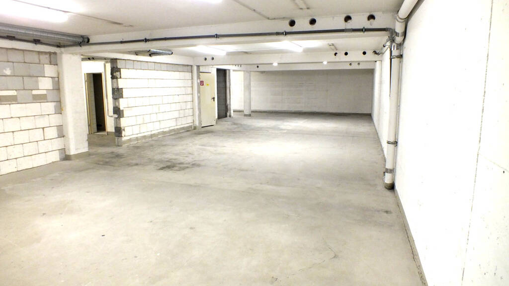 Lagerhalle zur Miete 695 € 247 m² Lagerfläche Singen Singen (Hohentwiel) 78224