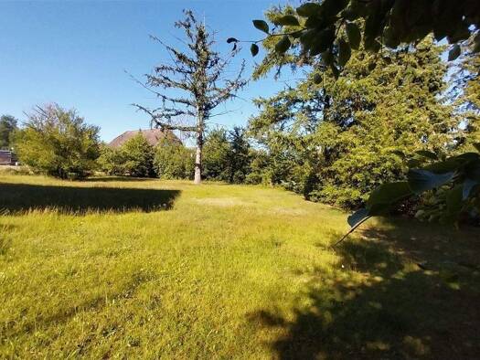 Grundstück zum Kauf 229.000 € 1.003 m² Grundstück frei ab sofort Marxen Marxen , Auetal 21439