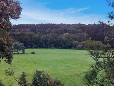 Grundstück zum Kauf provisionsfrei 89.000 € 1.360 m² Grundstück Altenkirchen Altenkirchen 57610