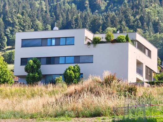 Wohnung zum Kauf 269.900 € 2 Zimmer 50 m² 1. Geschoss Frastanz 6820