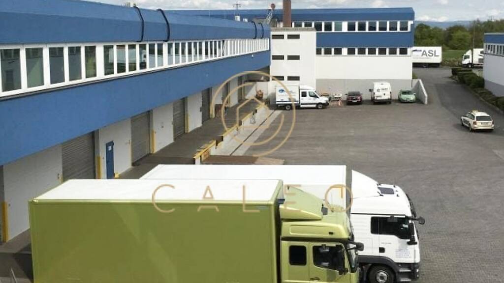 Bürofläche zur Miete provisionsfrei 8,50 € 498 m² Bürofläche teilbar ab 192 m² Kelsterbach 65451