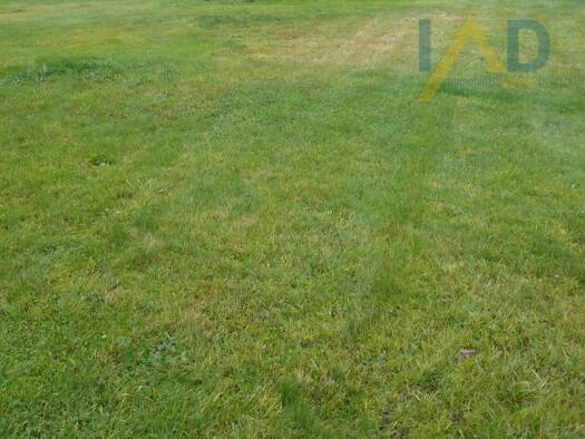 Grundstück zum Kauf 50.000 € 1.076 m² Grundstück Kaden 56459