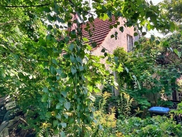 Grundstück zum Kauf 270.000 € 496 m² Grundstück Mahlsdorf Berlin 12623