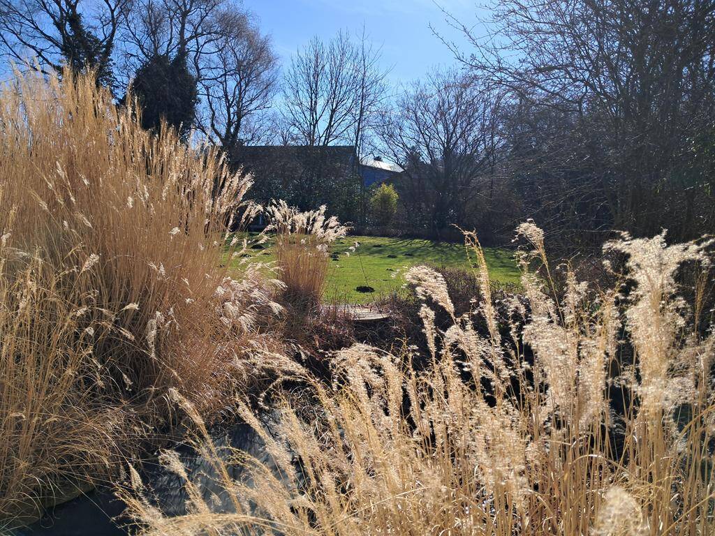 Immobilie in Stapel - Bungalow mit wunderschönem Garten, Kamin, Wintergarten, Terrasse und Garage mit E-Ladepunkt - Bild 3
