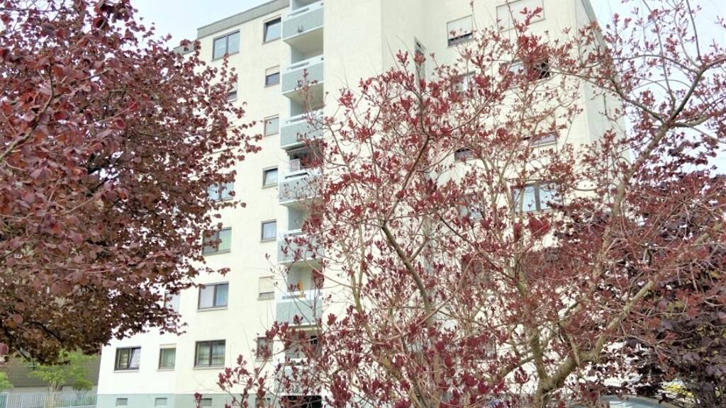 Wohnung zum Kauf 279.000 € 3 Zimmer 88 m² EG Blankenloch Stutensee 76297