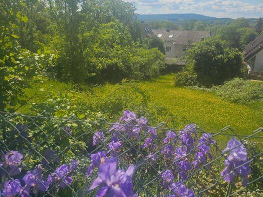 Grundstück zum Kauf 229.000 € 568 m² Grundstück frei ab sofort Egerlandstraße Reuth Forchheim 91301