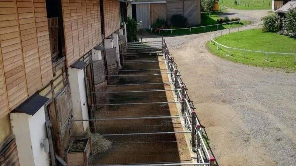 Sonstiges zur Miete 780 € 317.000 m² Grundstück Seckau 8732