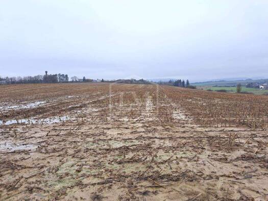 Landwirtschaftliche Fläche zum Kauf 430.000 € 112.882 m² Grundstück Bitburg 54634