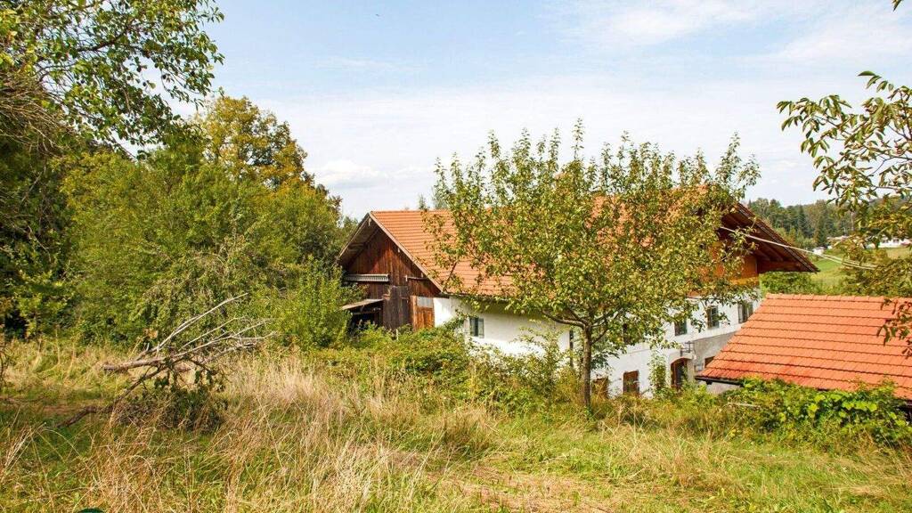 Bauernhof zum Kauf 106.328 m² Grundstück Kucheln Grassau 83224