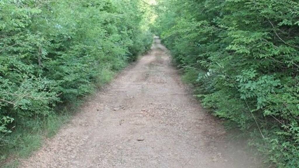 Grundstück zum Kauf 62.000 € 2.000 m² Grundstück Kreis BAR 85000