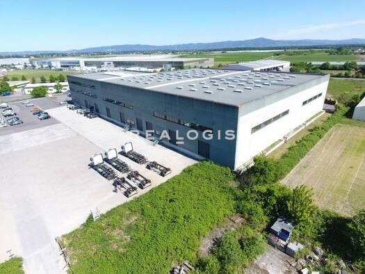 Halle/Industriefläche zur Miete 3.750 m² Lagerfläche teilbar ab 1.250 m² Gernsheim 64579