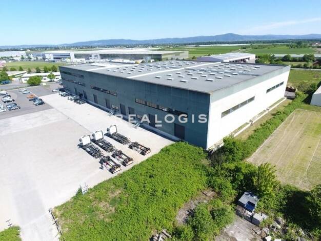 Halle/Industriefläche zur Miete 3.750 m² Lagerfläche teilbar ab 1.250 m² Gernsheim Gernsheim 64579