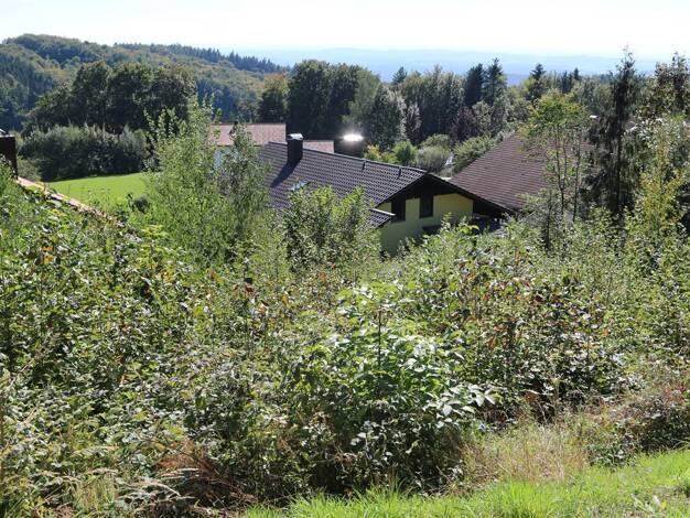 Grundstück zum Kauf 155.000 € 792 m² Grundstück Solla Thurmansbang 94169